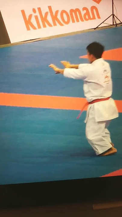 highlights of world champion nishiyama k.    Japan's superstar