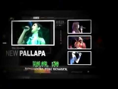harapan dan duka new pallapa