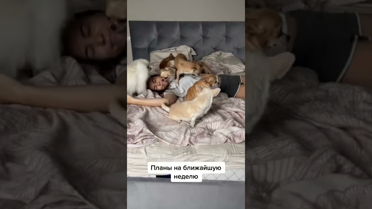 А Вы Чем Занимаетесь В «каникулы» 