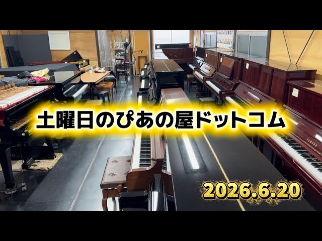 Steinrich Piano（スタインリッヒピアノ）カタログ ぴあの屋ドットコム