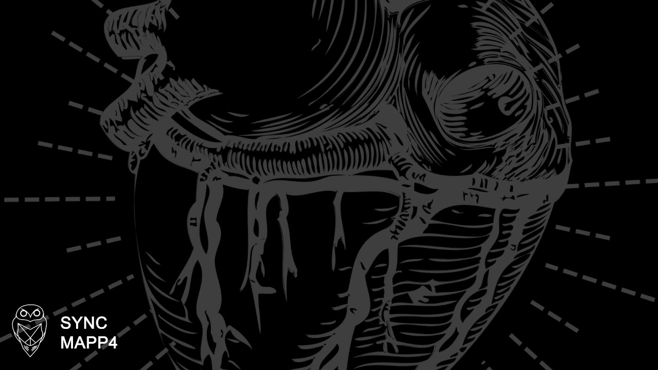 Mapp4 - Sync