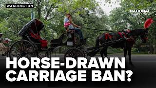 NYC could end horse-drawn carriage rides after deadly accident