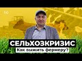 Как зарабатывать миллионы на низких ценах? Зерно и молоко в кризис. Реальная история успеха