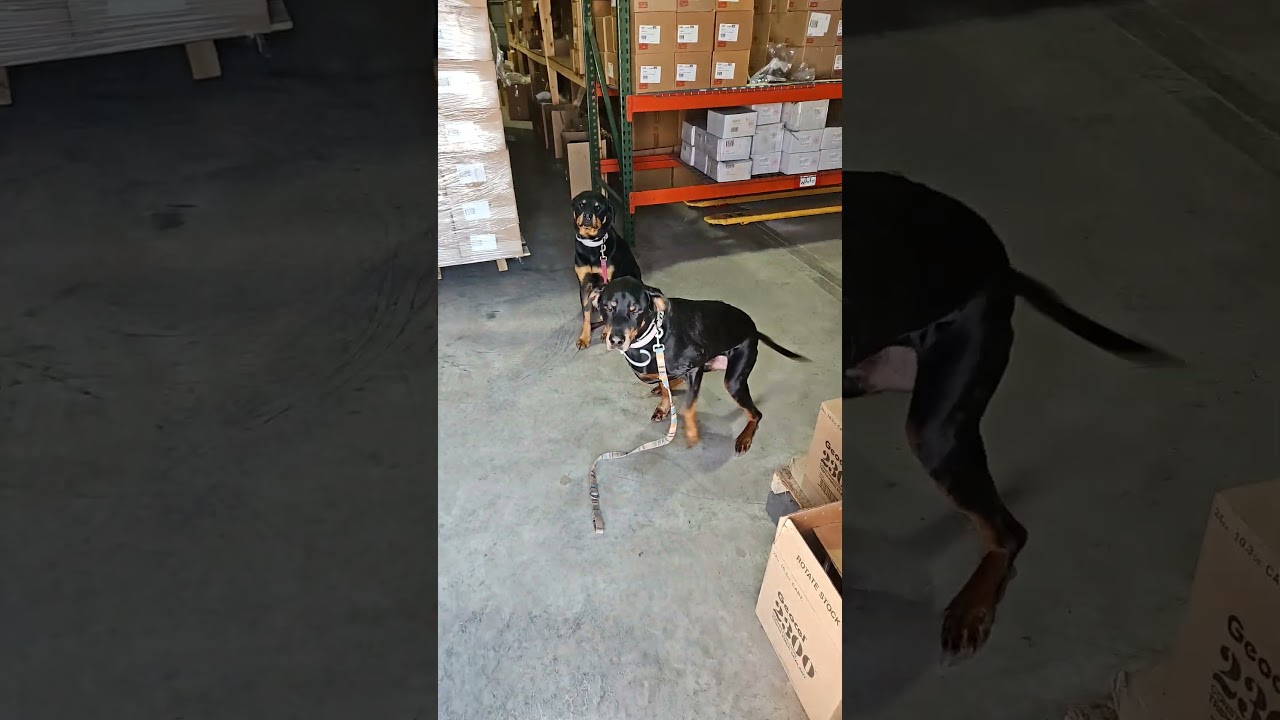 подождать, прежде чем выйти на улицу 