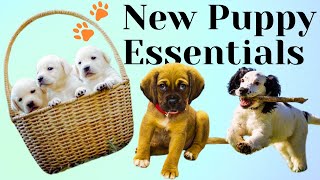 New Puppy Care Guide Essential Supplies to Buy | Training Tips #puppyrescue #newpuppies #thedodo by New Pet Society - Pet Life 7 views 5 months ago 2 minutes, 37 seconds