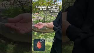 Одна точка против тревоги и стресса | практика ТКМ