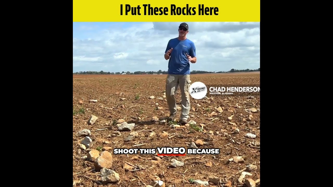 Chad put all these rocks in his field