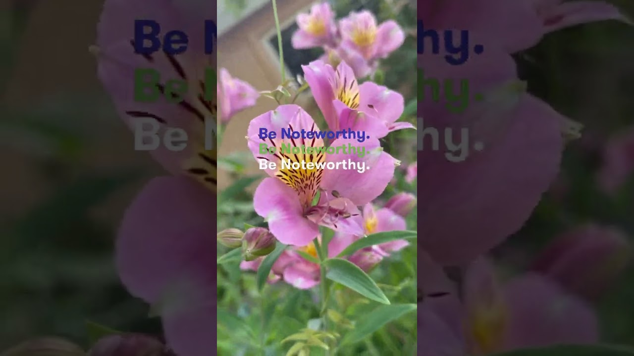 Be Noteworthy quotes Amazing flowers 