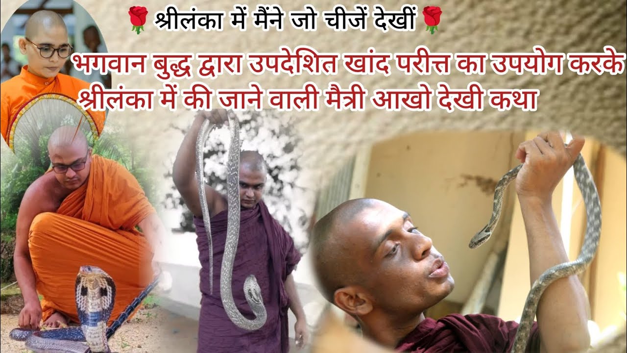 भगवान बुद्ध द्वारा उपदेशित खांद परीत्त का उपयोग करके श्रीलंका में की जाने वाली मैत्री आखो देखी कथा