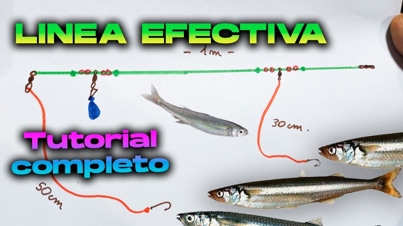 LINEA para PEJERREY 🔥 🐟 - Como hacer una LINEA DE VUELO TUTORIAL - APAREJO ECONÓMICO 🏆