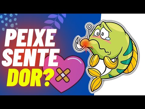 Vídeo: Como Os Peixes Sentem E 'sentem