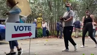 Famous Experts On Protecting Your Vote Before And On Election Day | MSNBC Net Worth