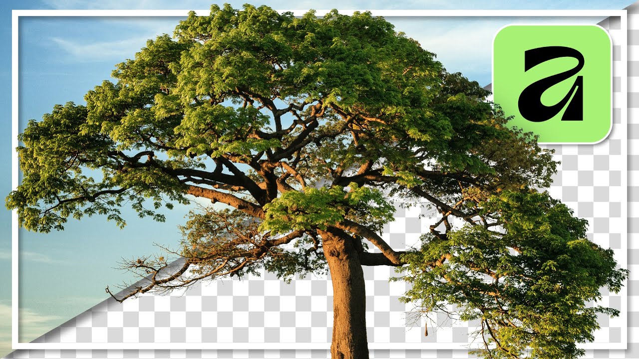 Komplexe Objekte ausschneiden & freistellen | Affinity Tutorial Deutsch