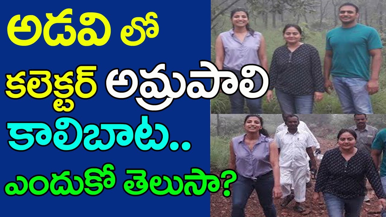 అడవిలో కలెక్టర్ ఆమ్రపాలి కాలిబాట! | Warangal Collector Amrapali Visit Forest | Top Telugu Media