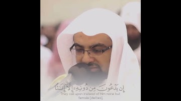{إن الله لا يغفر أن يشرك به...} تلاوة عطرة للقارئ الشيخ ناصر القطامي 🌹