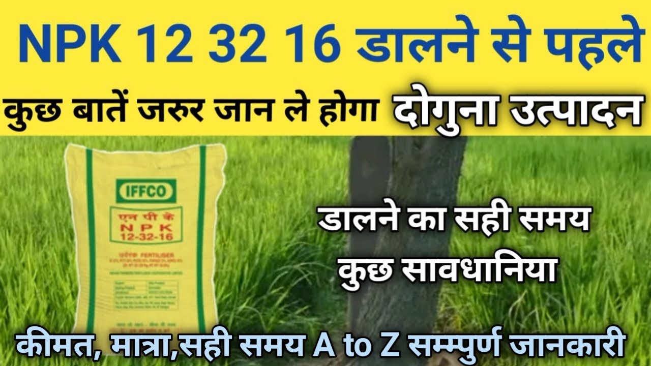 NPK 12 32 16 Fertilizer IFFCO NPK 12 31 16 NPK 12 32 16 Price npk-12-32-16-fertilizer-iffco-npk-12-31-16-npk-12-32-16-price