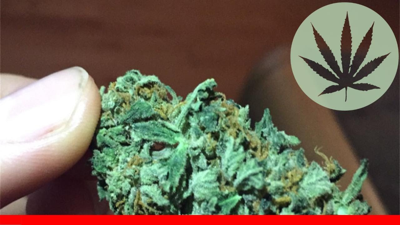 Mango Kush - All About This Strain