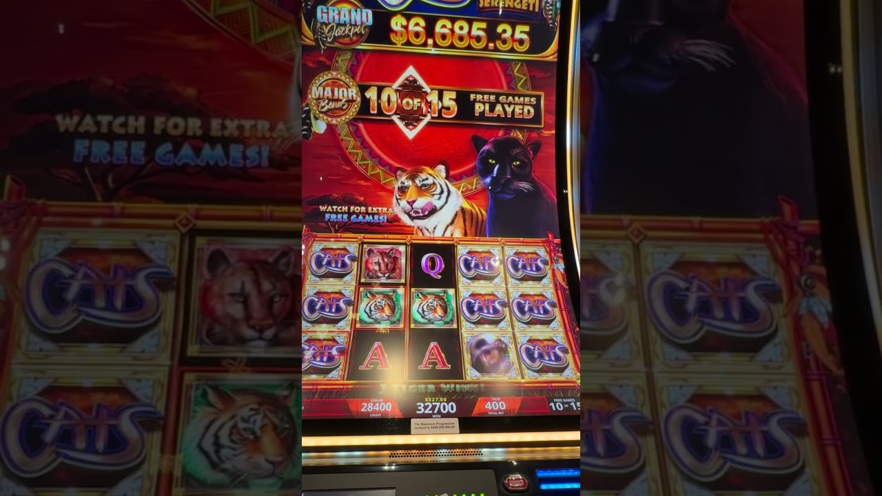 Cats Wild Serengeti 222x 