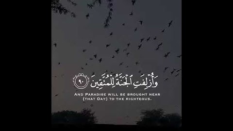 سورة الشعراء 💙| القارئ اسلام صبحي | حالات واتس🎧🌙_تصاميم انستجرام💨