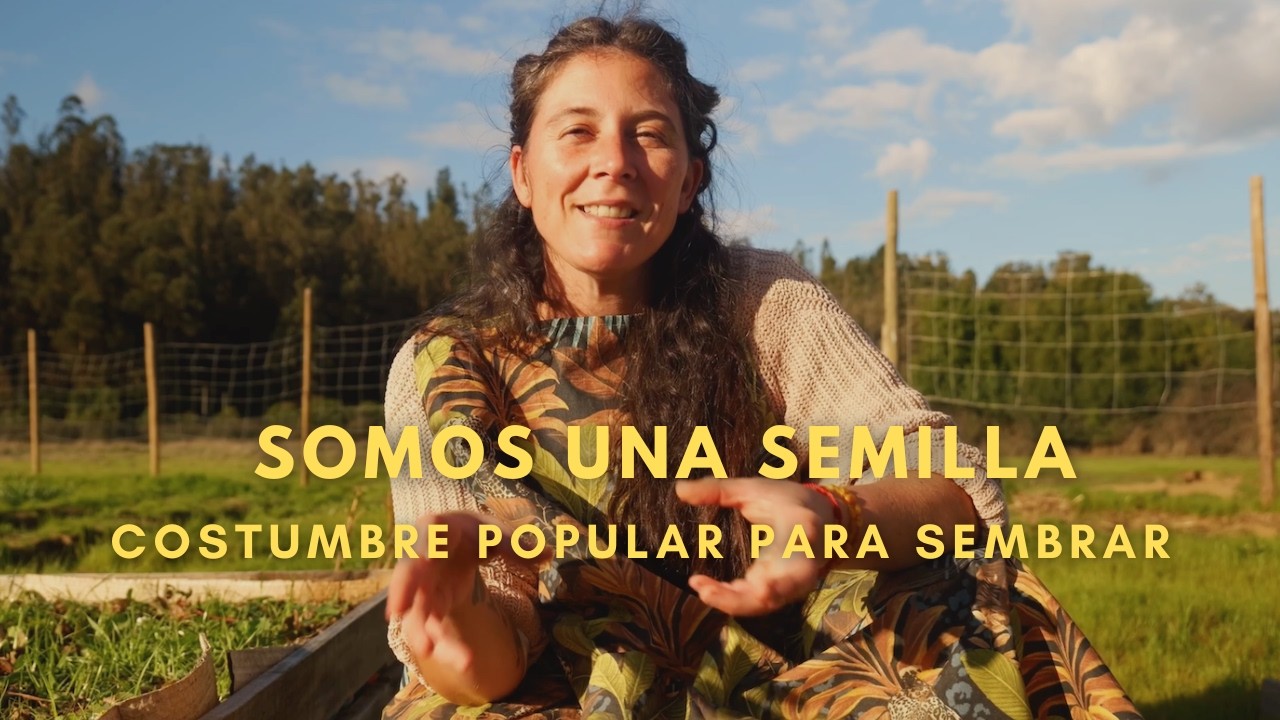 Somos (SOY) una Semilla 🌱 Qué siembra en Santa Rosa?