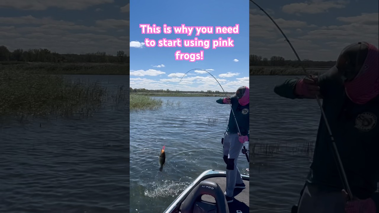 How to catch big bass on a frog