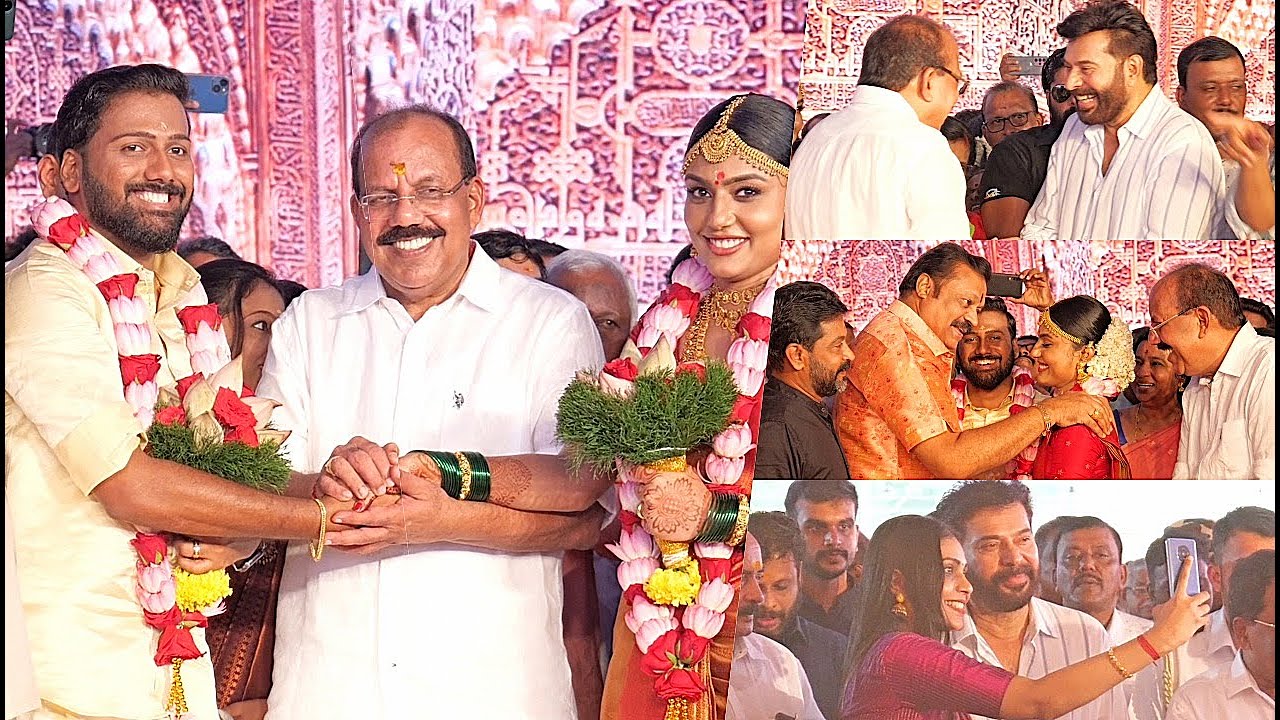 BJP A. N. Radhakrishnan Daughter Marriage | Mammootty | Suresh Gopi | Vishnu Mohan