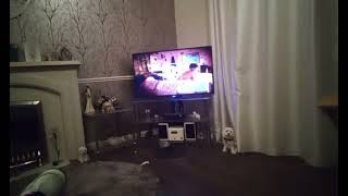cbbc closedown Saturday 29th October