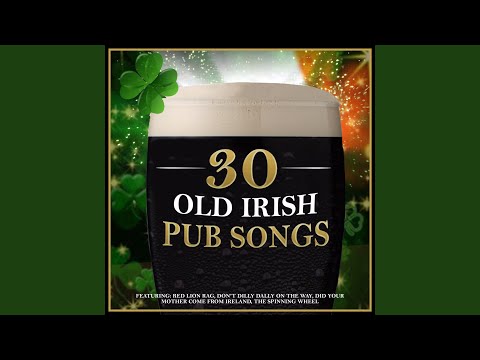 My Wild Irish Rose