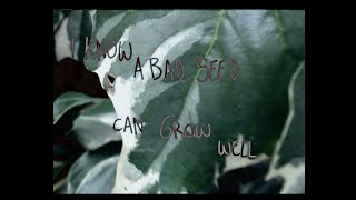 Grow Fanchon Official Lyric Video