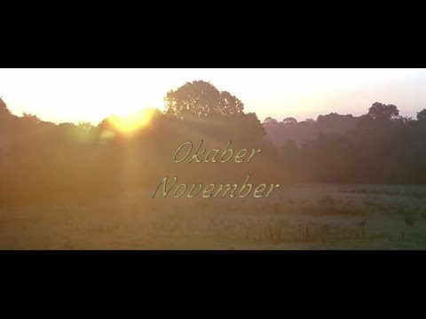 Okaber-November lyrics