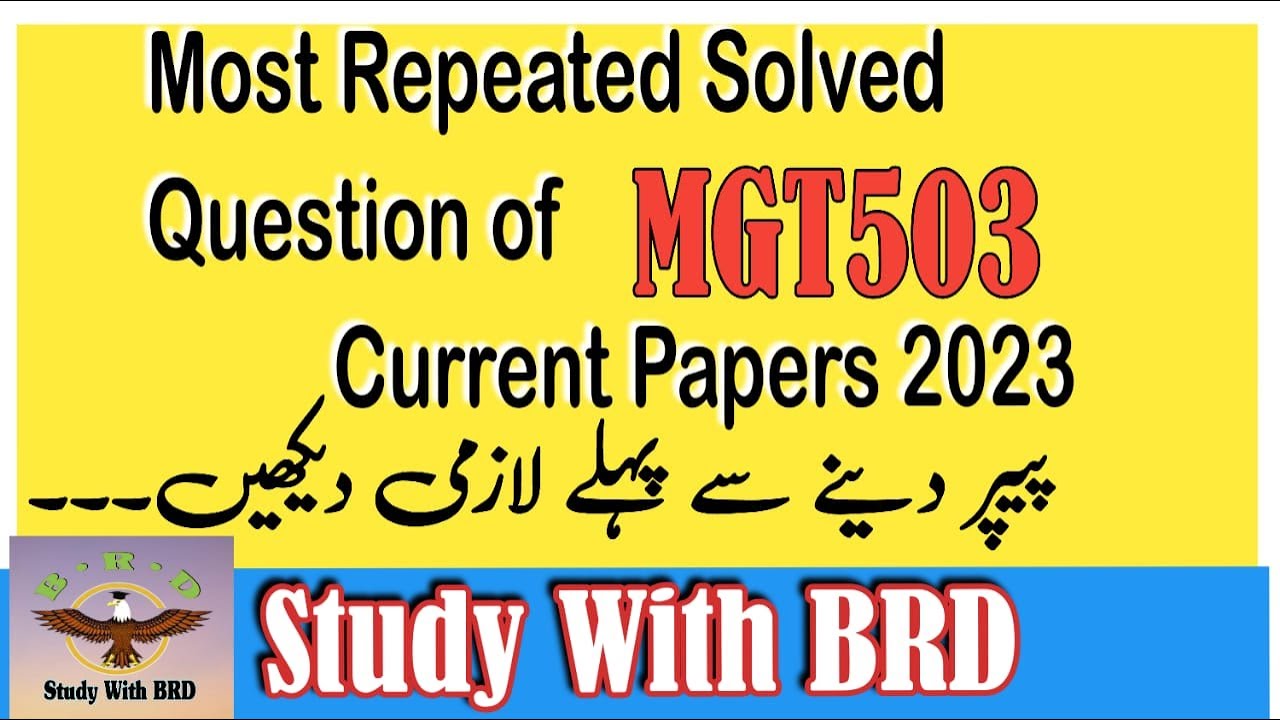 mgt503 final term paper