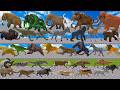 Ultimate Battle 55 Wild Animals Versus GIGA T-REX Dinosaur Epic Run Animal Revolt Battle Simulator