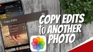 How to copy and paste iPhone photo edits screenshot 4