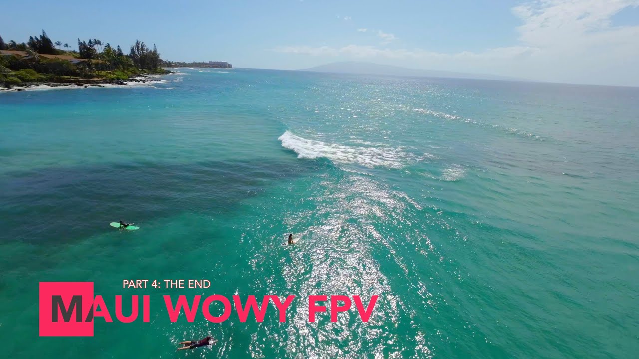 Maui Wowy VLOG Part 4 FINALLY! Flying over a whale in Maui!