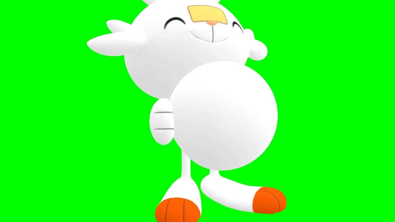 scorbunny-s-swelly-belly-youtube
