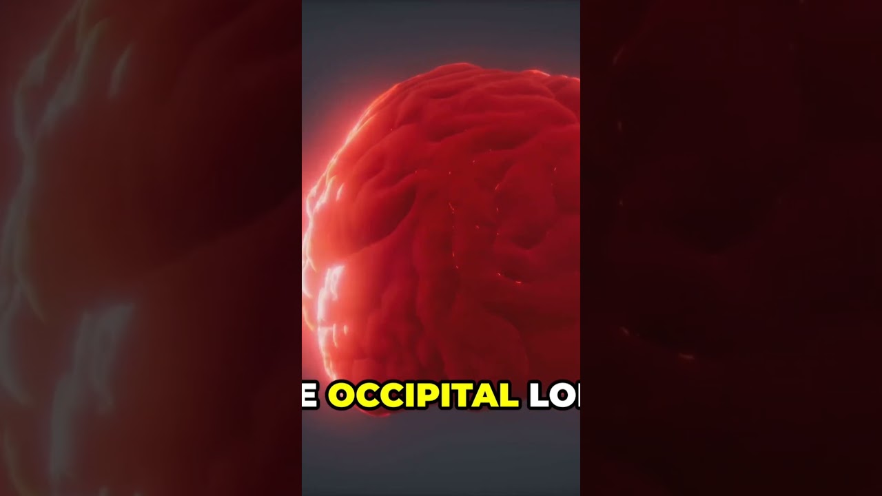 Explore the fascinating world  