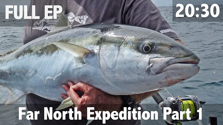 New Zealand Yellowtail Kingfish and Snapper fishing