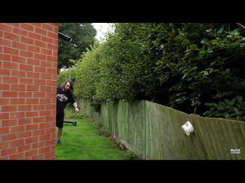 Caddicarus: shut up