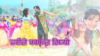 Chari le Kafal - “Sanglo” Movie Song | Rajan Raj Shiwakoti,Milan Newar|Biraj Bhatta,Nikita Chandak