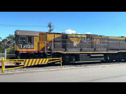 TasRail TR08 2053 #55 Train Hoblers Bridge Road