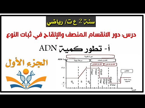 فيديو: 3 طرق لإبراز الانقسام