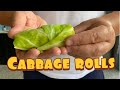 HOW TO MAKE STUFFED CABBAGE ROLLS | @The Real Greek Chef