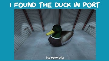 I found duck in Port | Critical Ops