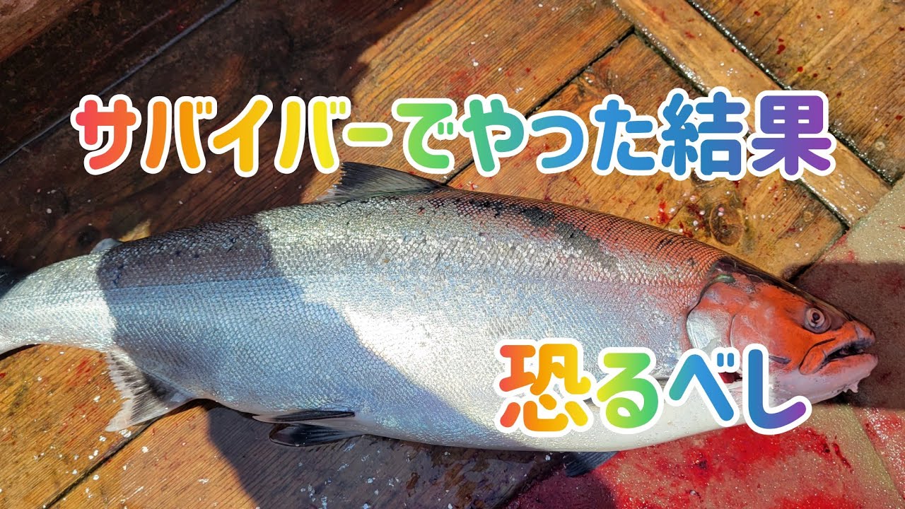 サバイバー　サクラマス　マスシャクリ サバイバー サクラマス マスシャクリ