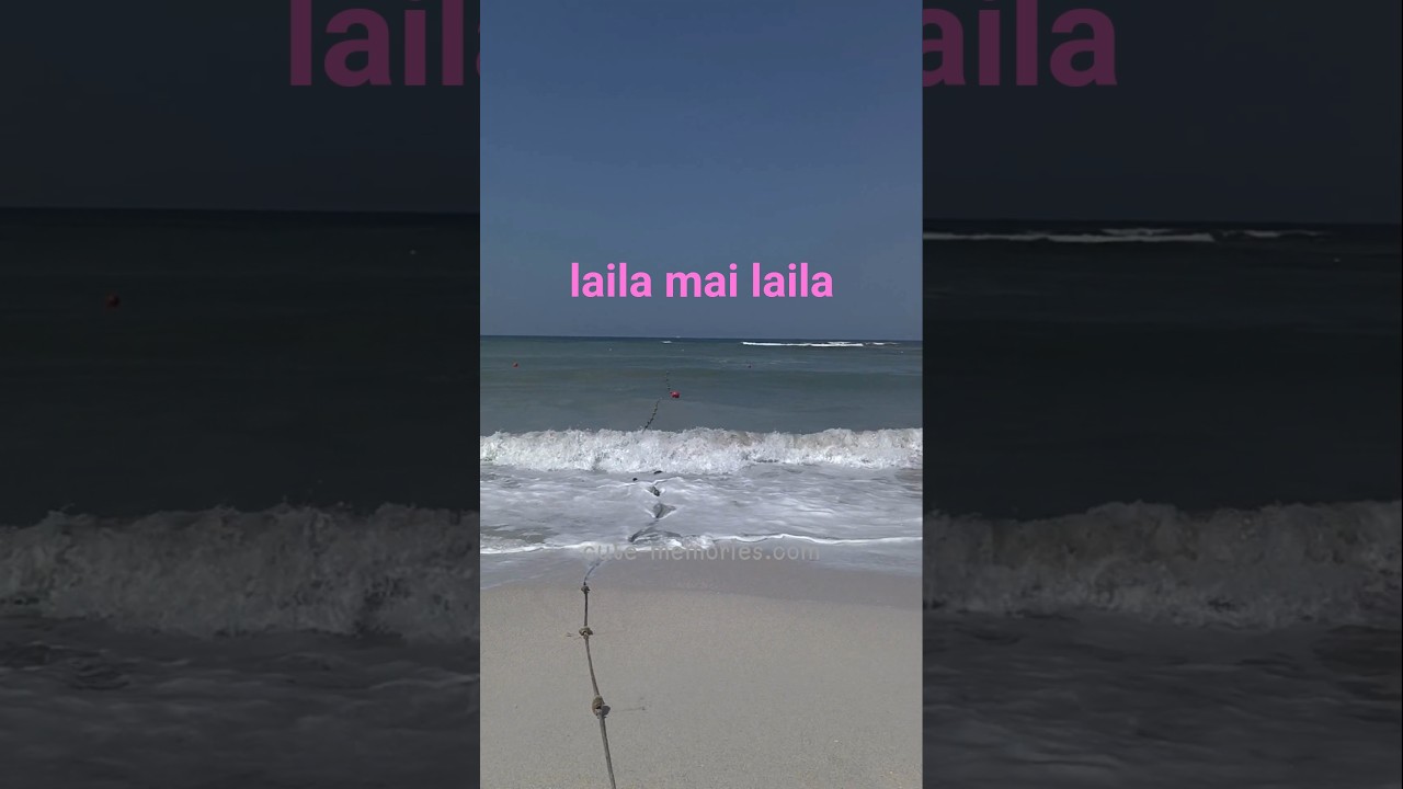 Laila mai laila 💃❤️💃 #laila #uaebeach #sharjahbeach #birds #love #waves #pigeon #nature #beachvibes