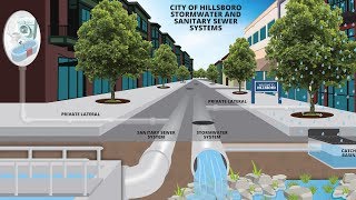 Hillsboro's Stormwater System: How It Works & Why It's Important