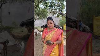 kichad se bachkr isliye chalte hai taki kapde kharab n ho