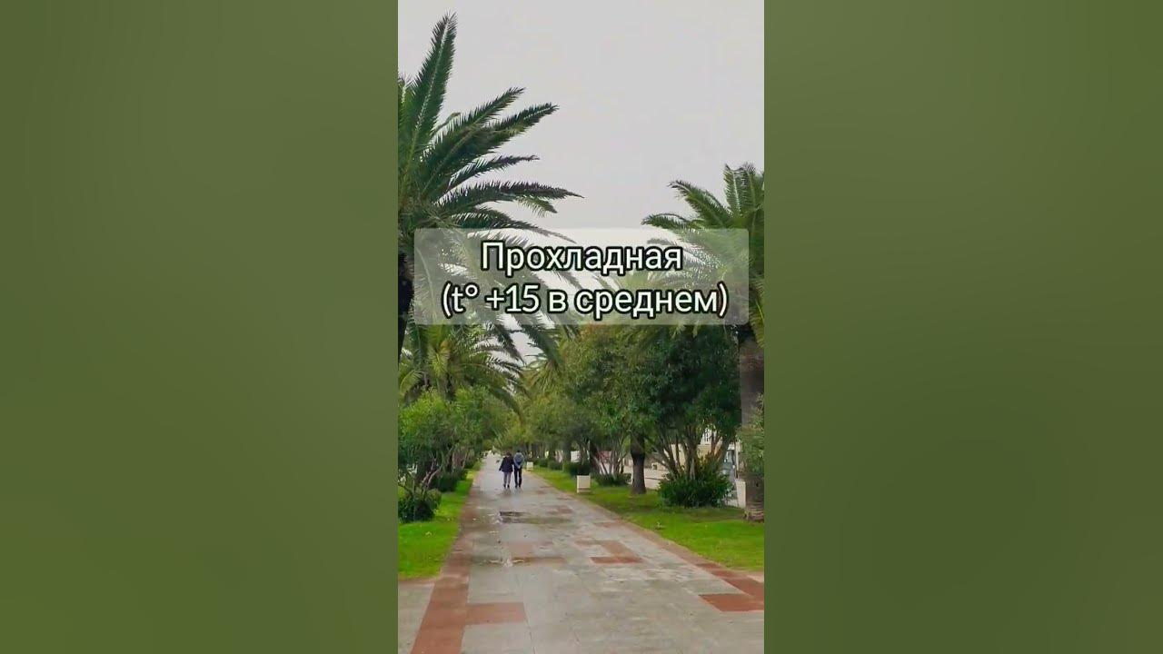 Зима на побережье Черногории такая 🎅 #shorts #черногория #зима2023 ...