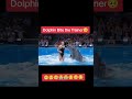 Dolphin Bite Trainer🐬🐬 🥹😭2025 08 11 220948170 #ai #dolphinattack #aivideo #dolphin #killerwhales