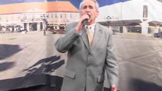 Zivodar Zica Markovic - Cele Noci Pijem Druze